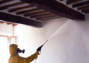 trattamento_termit